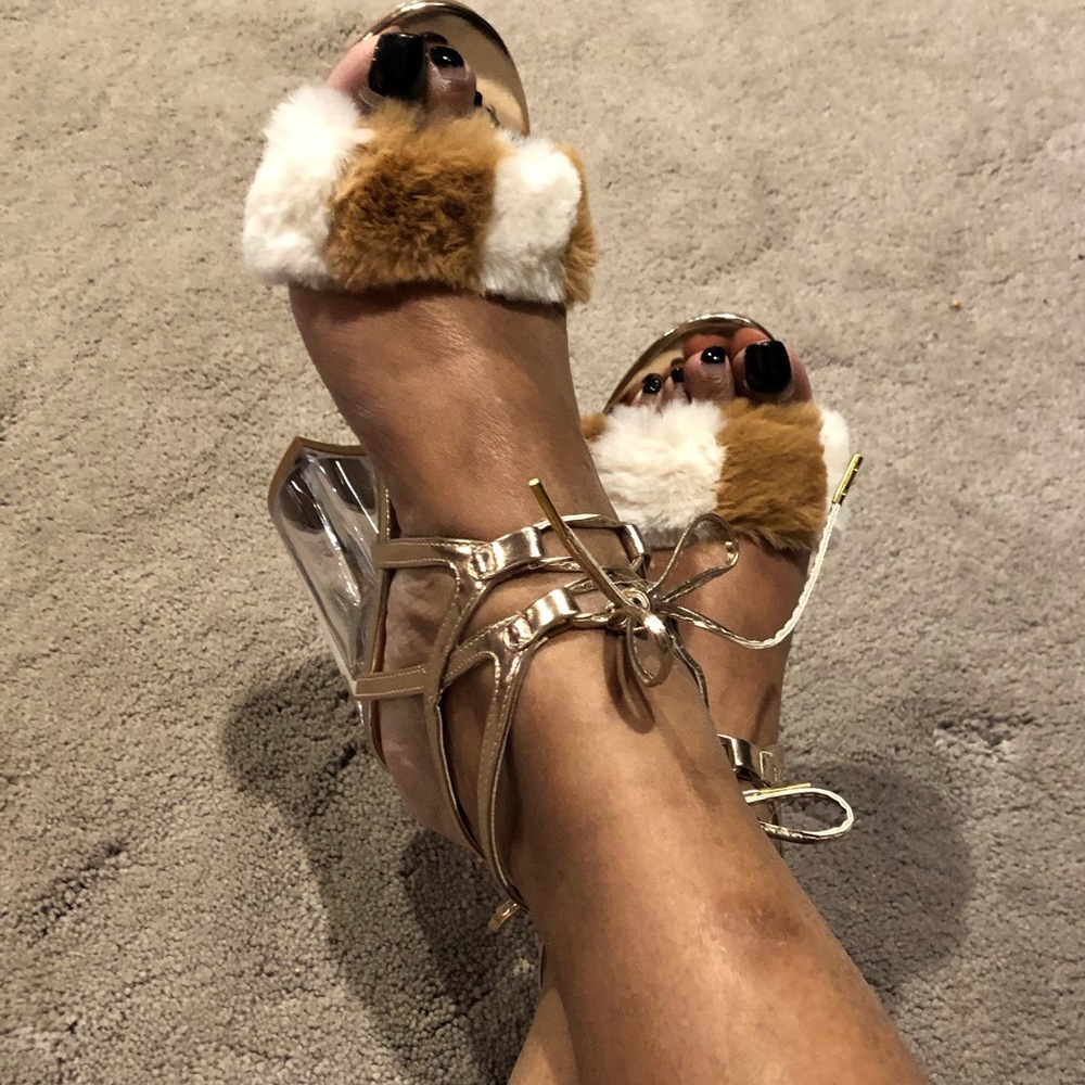 Shoes 🐶 - Picture 6 of 8